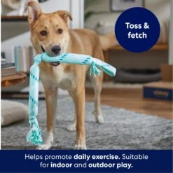 Frisco Double Fun Rope Crinkle Fetch Dog Toy -Hot Sale Pet Supplies 242137 PT3. AC SS1800 V1695242178