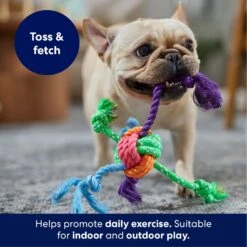 Frisco Fetch Colorful Ball Knot Rope Dog Toy -Hot Sale Pet Supplies 242159 PT3. AC SS1800 V1695242179