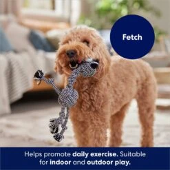 Frisco Zebra Rope Squeaky Dog Toy -Hot Sale Pet Supplies 242163 PT3. AC SS1800 V1691785245