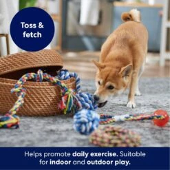 Frisco Rope Multipack For Medium Dog Toys -Hot Sale Pet Supplies 243978 PT3. AC SS1800 V1695241973