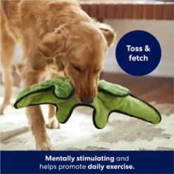 Frisco Alligator Stuffing-Free Flat Plush Squeaky Dog Toy 8 Frisco Alligator Stuffing-Free Flat Plush Squeaky Dog Toy -Hot Sale Pet Supplies 245943 PT2. AC SS1800 V1678723898