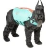 Frisco Active Dog Life Jacket -Hot Sale Pet Supplies 247894 MAIN. AC SS1800 V1613407958