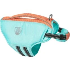 Frisco Active Dog Life Jacket -Hot Sale Pet Supplies 247894 PT4. AC SS1800 V1622903560