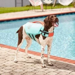 Frisco Active Dog Life Jacket -Hot Sale Pet Supplies 247894 PT7. AC SS1800 V1616506092