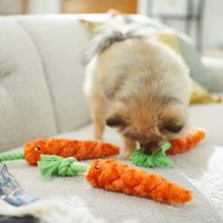 Frisco Easter Carrot Plush With Rope Dog Toy -Hot Sale Pet Supplies 248023 PT5. AC SS1800 V1608769360