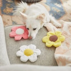 Frisco Easter Spring Flowers Plush Dog Toy -Hot Sale Pet Supplies 248043 PT5. AC SS1800 V1608769957