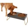 Frisco Copper Stainless Steel Elevated Foldable Double Dog & Cat Bowls 1 Frisco Copper Stainless Steel Elevated Foldable Double Dog & Cat Bowls -Hot Sale Pet Supplies 253060 MAIN. AC SS1800 V1616073913