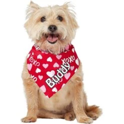 Frisco XOXO Hearts Personalized Dog & Cat Bandana -Hot Sale Pet Supplies 254203 PT6. AC SS1800 V1632427913
