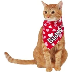 Frisco XOXO Hearts Personalized Dog & Cat Bandana -Hot Sale Pet Supplies 254203 PT7. AC SS1800 V1632417974