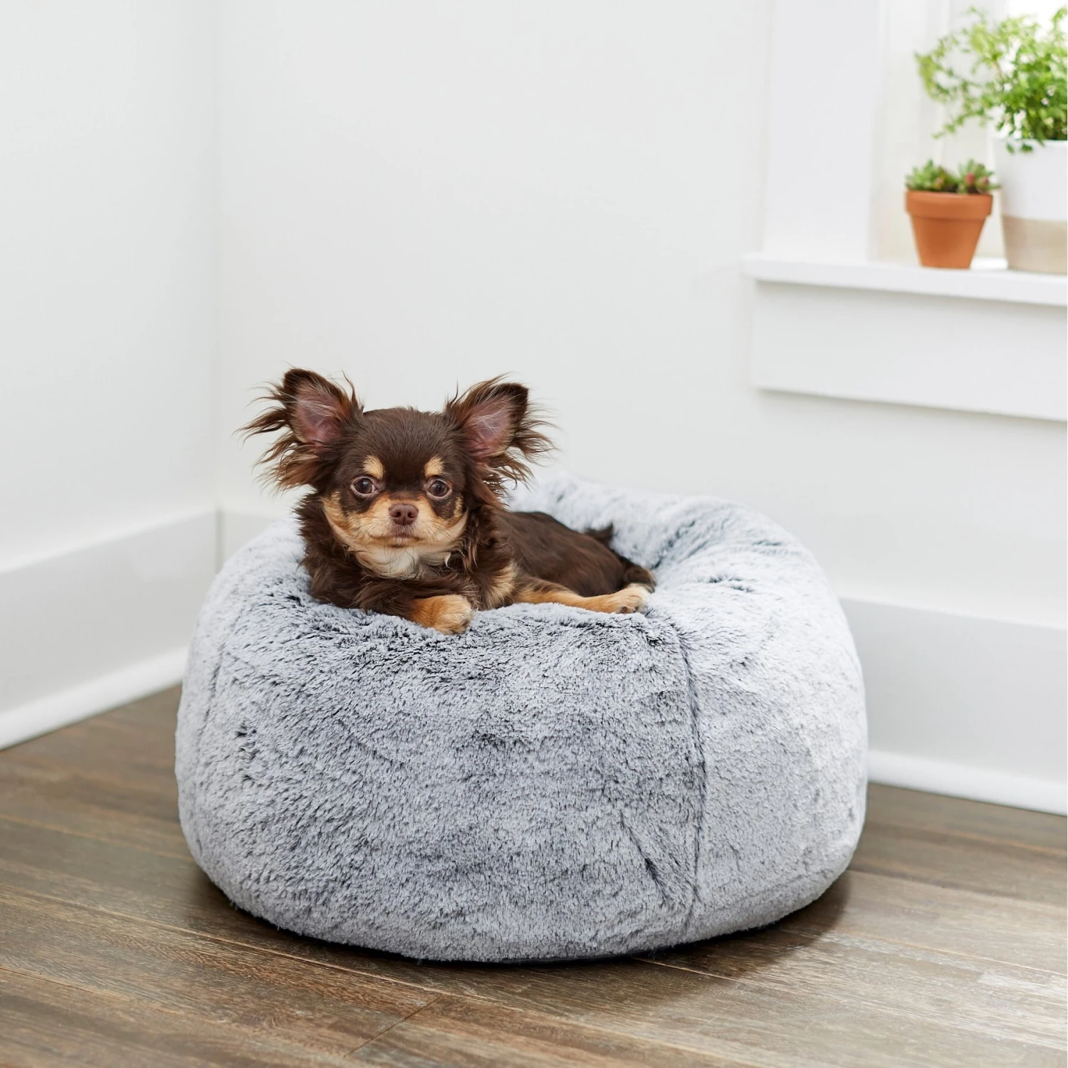 Frisco Plush Pouf Pillow Cat & Dog Bed 3 Frisco Plush Pouf Pillow Cat & Dog Bed