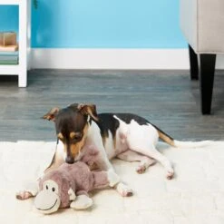 Frisco Monkey Plush Squeaky Dog Toy & Frisco Fox Plush Squeaky Dog Toy -Hot Sale Pet Supplies 255597 PT2. AC SS1800 V1602702685