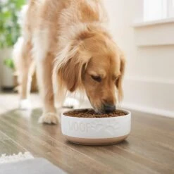 Frisco Paw Prints Non-skid Ceramic Bowl -Hot Sale Pet Supplies 256072 PT2. AC SS1800 V1615311738