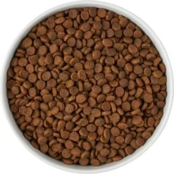 Frisco Paw Prints Non-skid Ceramic Bowl -Hot Sale Pet Supplies 256072 PT5. AC SS1800 V1615312318