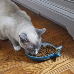 Frisco Fish Shaped Non-skid Ceramic Cat Dish 12 Frisco Fish Shaped Non-skid Ceramic Cat Dish -Hot Sale Pet Supplies 256109 PT3. AC SS1800 V1617196297