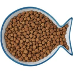 Frisco Fish Shaped Non-skid Ceramic Cat Dish 15 Frisco Fish Shaped Non-skid Ceramic Cat Dish -Hot Sale Pet Supplies 256109 PT6. AC SS1800 V1617196895