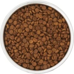 Frisco Insulated Two-Toned Non-Skid Stainless Steel Dog & Cat Bowl -Hot Sale Pet Supplies 257168 PT4. AC SS1800 V1612367255