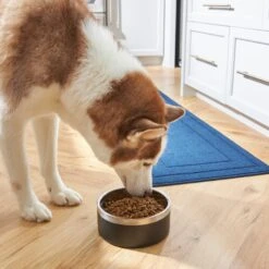 Frisco Insulated Two-Toned Non-Skid Stainless Steel Dog & Cat Bowl -Hot Sale Pet Supplies 257168 PT8. AC SS1800 V1615840126