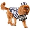 Frisco Prisoner Dog & Cat Costume 2 Frisco Prisoner Dog & Cat Costume -Hot Sale Pet Supplies 260933 MAIN. AC SS1800 V1624400089