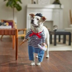 Frisco Front Walking French Artist Dog & Cat Costume -Hot Sale Pet Supplies 260956 PT8. AC SS1800 V1689623916