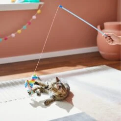 Frisco Pinata Teaser Wand Cat Toy With Catnip -Hot Sale Pet Supplies 264446 PT3. AC SS1800 V1618948636