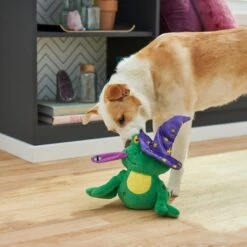 Frisco Magic Wizard Frog Plush Squeaky Dog Toy -Hot Sale Pet Supplies 265588 PT3. AC SS1800 V1620939075