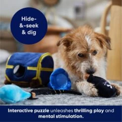 Frisco Magic Chest Hide & Seek Puzzle Plush Squeaky Dog Toy 14 Frisco Magic Chest Hide & Seek Puzzle Plush Squeaky Dog Toy -Hot Sale Pet Supplies 265614 PT5. AC SS1800 V1695760957