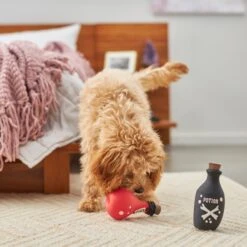 Frisco Magic Potions Latex Squeaky Dog Toy, 2 Count -Hot Sale Pet Supplies 265632 PT3. AC SS1800 V1620939021