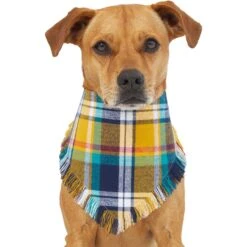 Frisco Blue/Yellow Plaid Dog & Cat Flannel Bandana -Hot Sale Pet Supplies 267901 PT2. AC SS1800 V1637717796