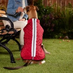 Frisco Mediumweight Reflective 2-in-1 Dog & Cat Fleece Coat -Hot Sale Pet Supplies 268359 PT8. AC SS1800 V1629759326