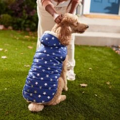 Frisco Mediumweight Metallic Star Print Insulated Dog & Cat Parka, Navy 15 Frisco Mediumweight Metallic Star Print Insulated Dog & Cat Parka, Navy -Hot Sale Pet Supplies 268413 PT8. AC SS1800 V1629757357