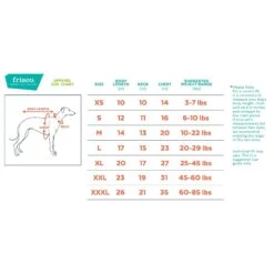 Frisco Mediumweight Colorblock Adventure Insulated Dog & Cat Parka -Hot Sale Pet Supplies 268421 PT1. AC SS1800 V1628641019