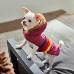 Frisco Mediumweight Colorblock Adventure Insulated Dog & Cat Parka -Hot Sale Pet Supplies 268421 PT8. AC SS1800 V1629835230