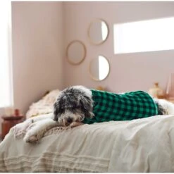 Frisco Dog & Cat Cozy Plush Fleece PJs, Green Plaid -Hot Sale Pet Supplies 268517 PT5. AC SS1800 V1637644798