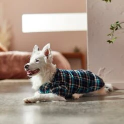 Frisco Multi-Plaid Dog & Cat Flannel Shirt 19 Frisco Multi-Plaid Dog & Cat Flannel Shirt -Hot Sale Pet Supplies 268588 PT8. AC SS1800 V1629755804