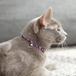 Frisco Midnight Floral Cat Collar -Hot Sale Pet Supplies 269490 PT4. AC SS1800 V1617037508