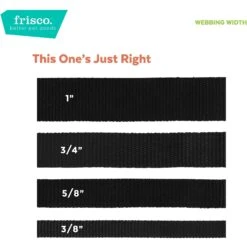 Frisco Midnight Floral Cat Collar -Hot Sale Pet Supplies 269490 PT6. AC SS1800 V1629992485