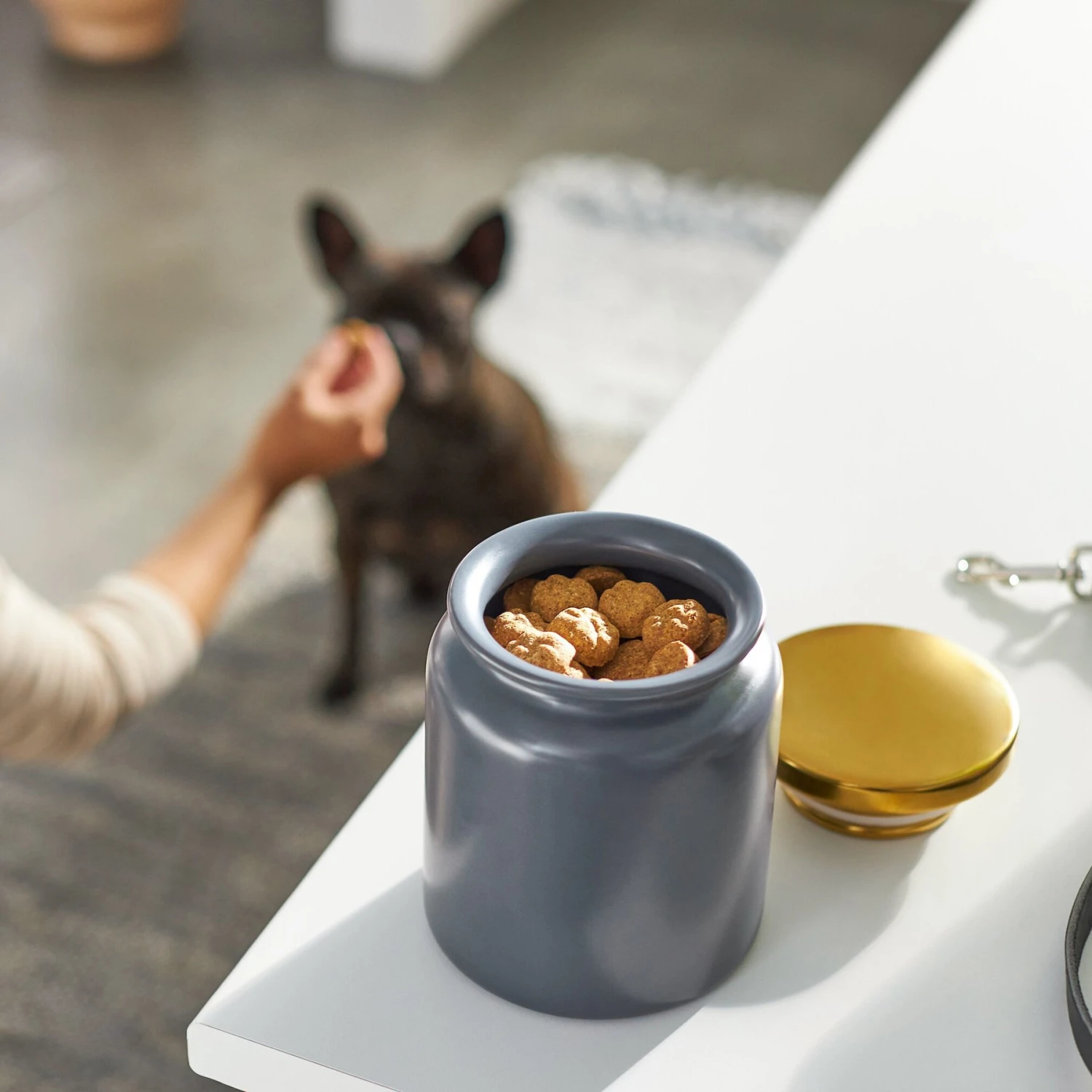 Frisco Modern Gold Rim Ceramic Treat Jar 5 Frisco Modern Gold Rim Ceramic Treat Jar - Image 3