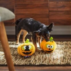 Frisco Halloween Nerdy Jack-o-Lanterns Plush Squeaky Dog Toy -Hot Sale Pet Supplies 270431 PT3. AC SS1800 V1624817796
