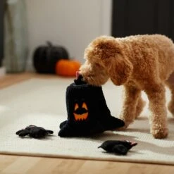 Frisco Halloween Haunted Tree Hide & Seek Puzzle Plush Squeaky Dog Toy -Hot Sale Pet Supplies 270488 PT3. AC SS1800 V1624817078