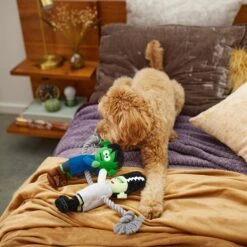 Frisco Halloween Frankenstein & Bride Plush With Rope Squeaky Dog Toy -Hot Sale Pet Supplies 270496 PT3. AC SS1800 V1624824775