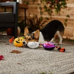 Frisco Halloween Haunted Friends Plush With Rope Squeaky Dog Toy 9 Frisco Halloween Haunted Friends Plush With Rope Squeaky Dog Toy -Hot Sale Pet Supplies 270500 PT3. AC SS1800 V1624825043