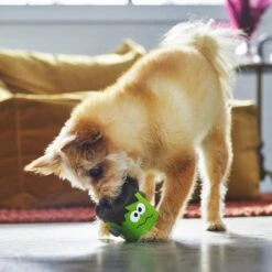 Frisco Halloween Frankenstein Latex Squeaky Dog Toy -Hot Sale Pet Supplies 270516 PT3. AC SS1800 V1689878412