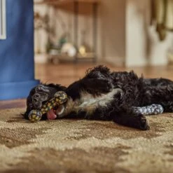 Frisco Halloween Candy Corn & Ghosts TPR Bone Squeaky Dog Toy, 2 Count -Hot Sale Pet Supplies 270529 PT3. AC SS1800 V1689876508