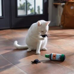 Frisco Camping Bug Spray Plush Cat Toy With Catnip, 3 Count 7 Frisco Camping Bug Spray Plush Cat Toy With Catnip, 3 Count -Hot Sale Pet Supplies 270969 PT3. AC SS1800 V1625009346