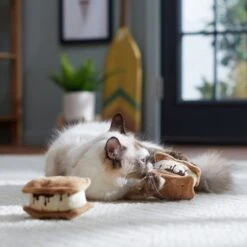 Frisco Camping S'mores Plush Cat Toy With Catnip, 2 Count 7 Frisco Camping S'mores Plush Cat Toy With Catnip, 2 Count -Hot Sale Pet Supplies 270983 PT3. AC SS1800 V1625009062
