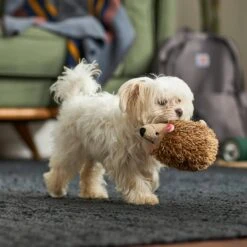 Frisco Camping Hedgehog Plush Squeaky Dog Toy -Hot Sale Pet Supplies 270995 PT3. AC SS1800 V1625009251