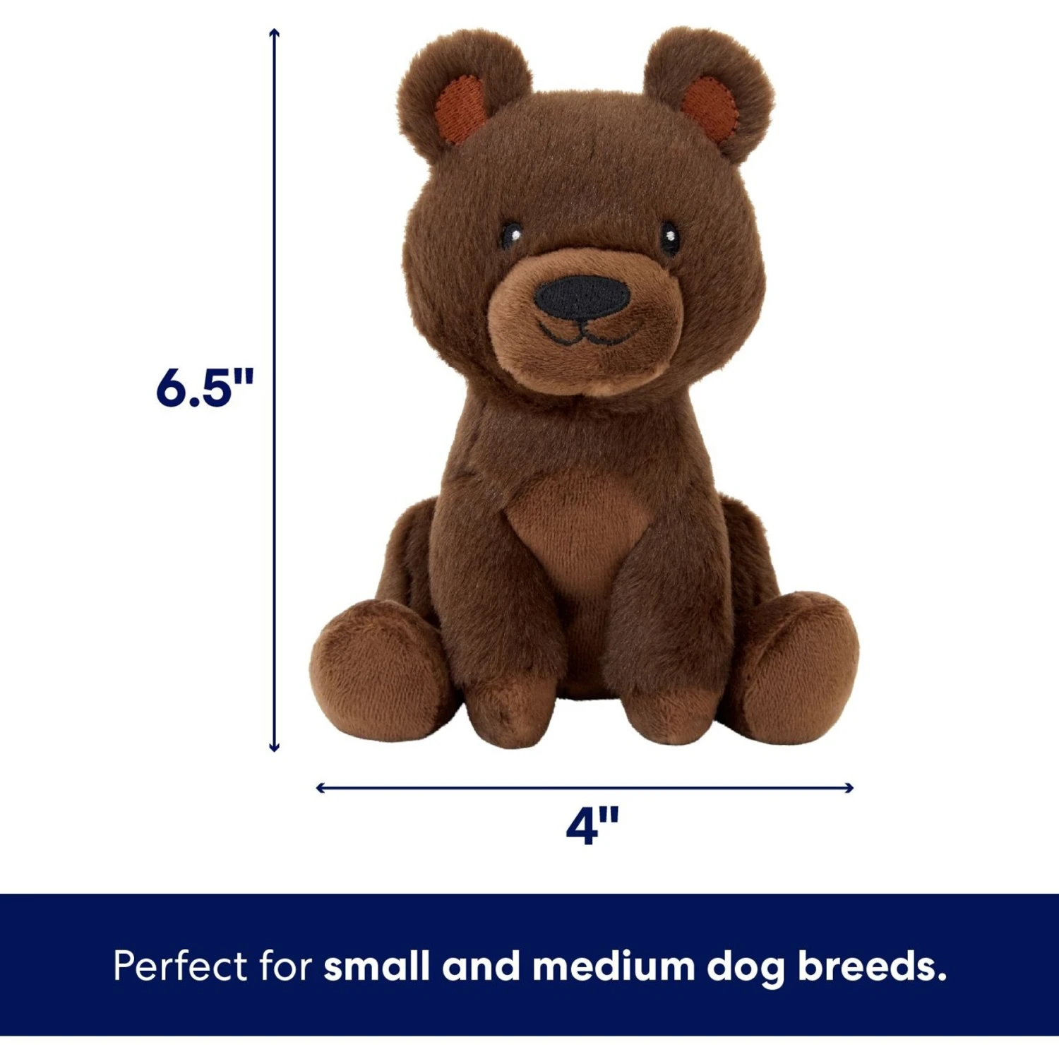 Frisco Camping Bear Plush Squeaky Dog Toy 4 Frisco Camping Bear Plush Squeaky Dog Toy - Image 2
