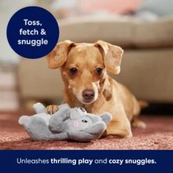 Frisco Camping Squirrel Plush Squeaky Dog Toy -Hot Sale Pet Supplies 271001 PT5. AC SS1800 V1691785245