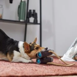 Frisco Camping Binoculars Plush With Rope Squeaky Dog Toy -Hot Sale Pet Supplies 271009 PT3. AC SS1800 V1625009167