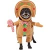 Frisco Front Walking Gingerbread Dog & Cat Costume -Hot Sale Pet Supplies 276156 MAIN. AC SS1800 V1631659697